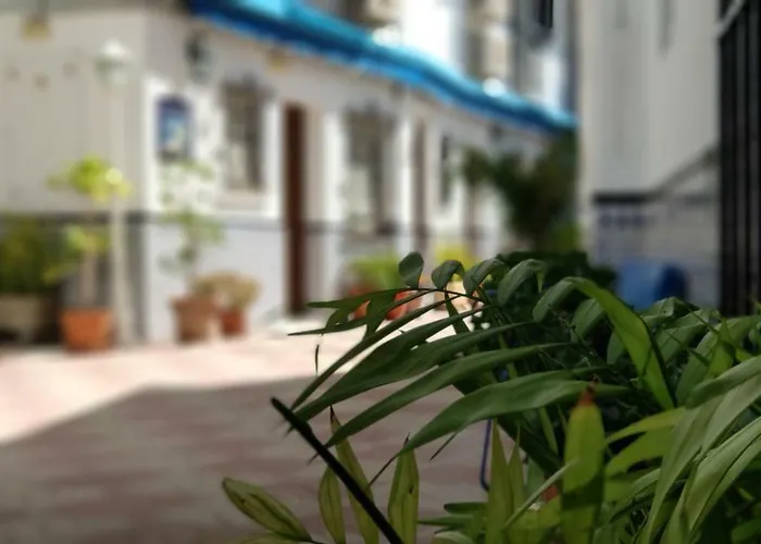 بيت ضيافة لا لونا *